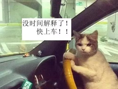 快上車